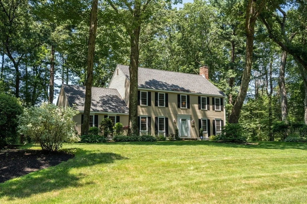 Photo of 40 Shadow Oak