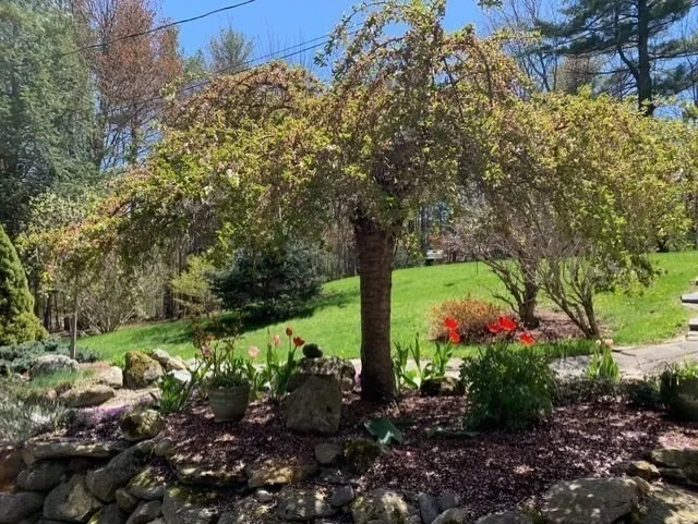 Photo of 75 Nash Rd