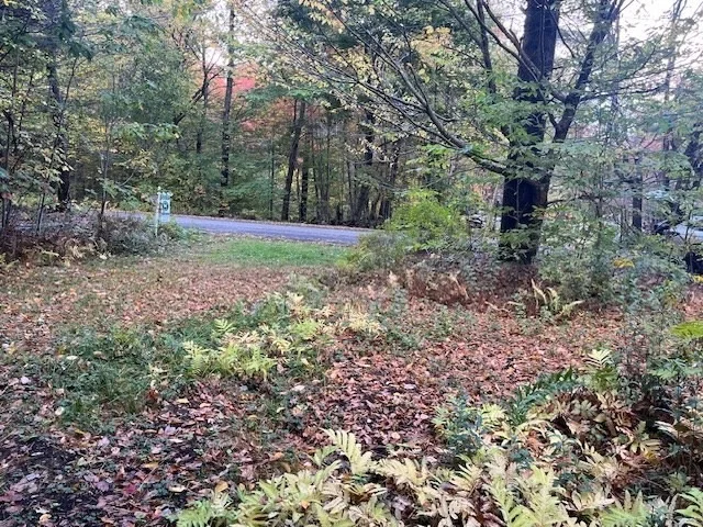 Photo of 0 Stryker Road