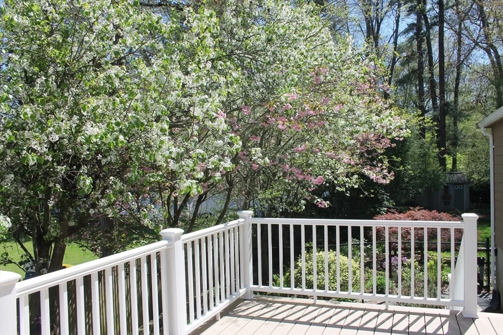 Photo of 9 Fernglade Rd