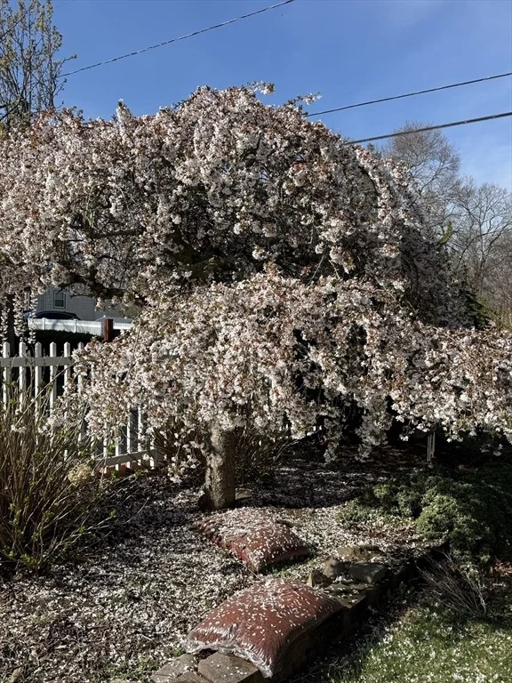 Photo of 93 Morgan Street