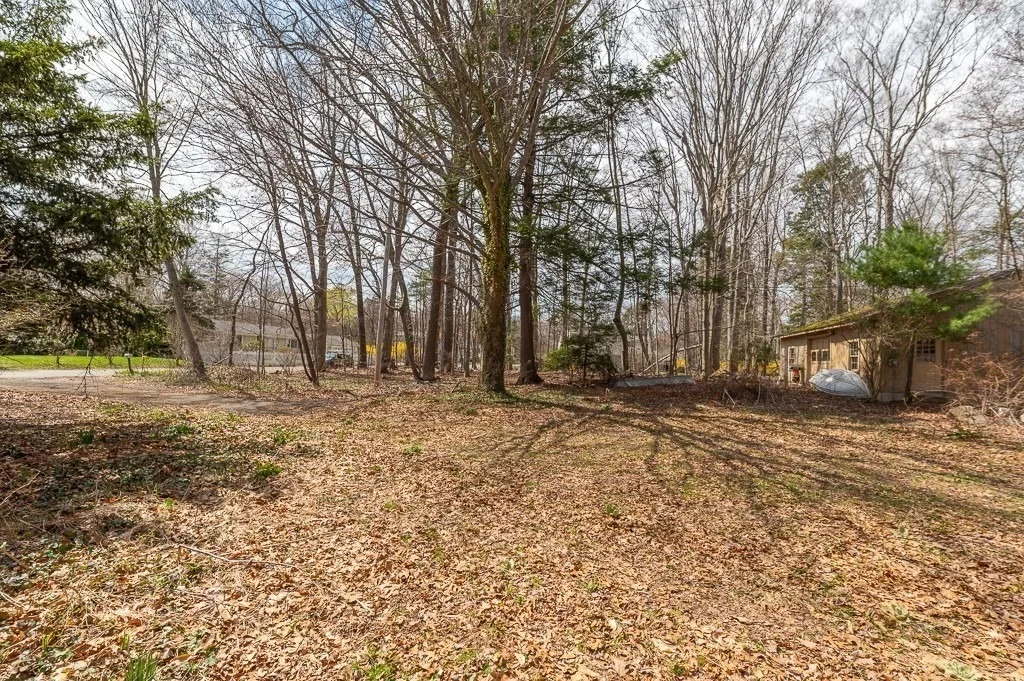 Photo of 21 Beech Street