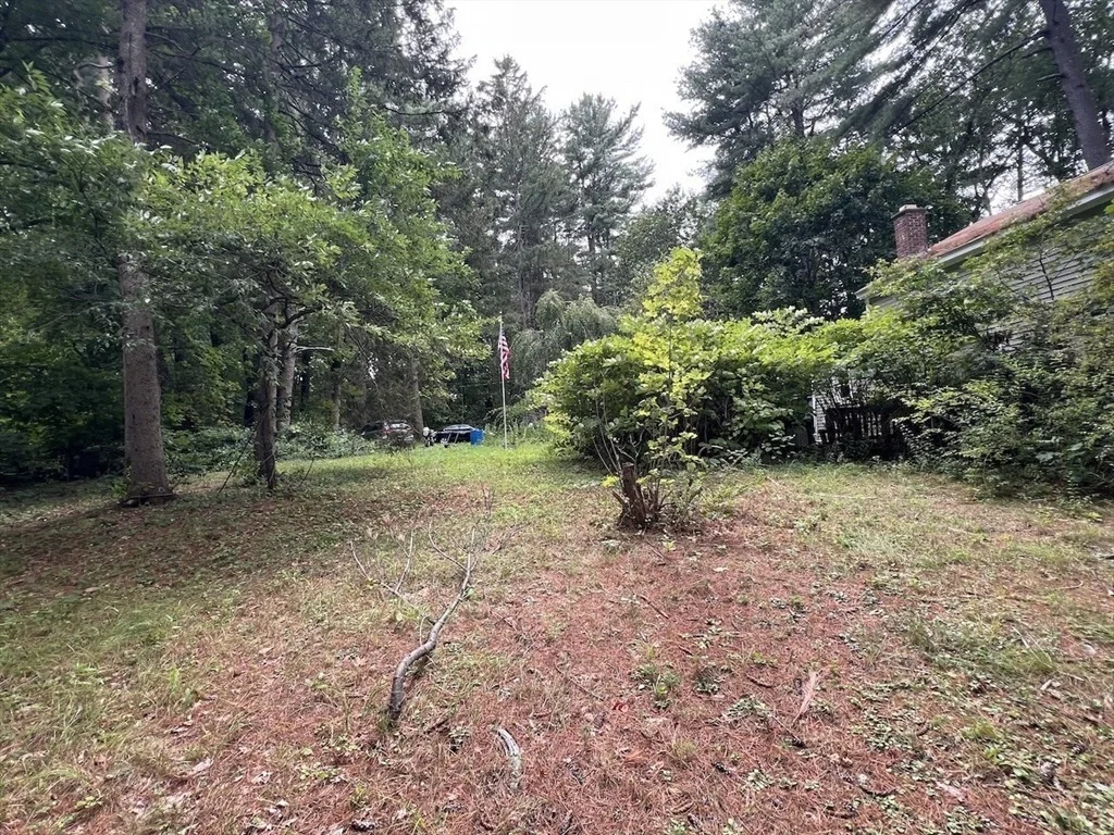 Photo of 16 Davis Street