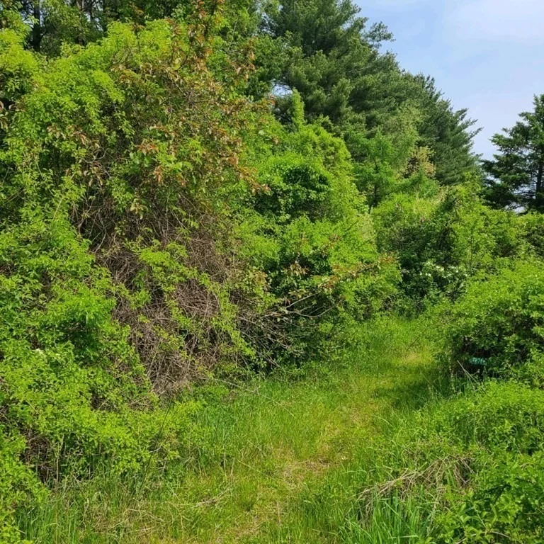 Photo of 301 Tinkham Road