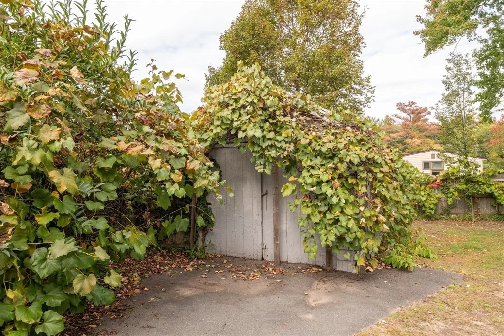 Photo of 8 Newcomb Avenue