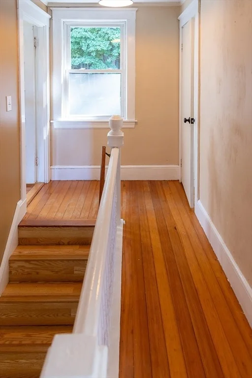 Photo of 24 Belvidere Rd