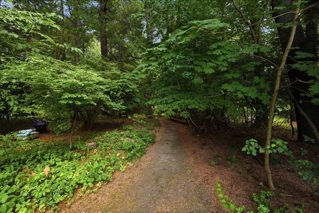 Photo of 7 Amber Rd