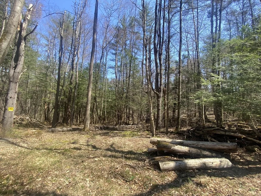 Photo of 0 Schaefer Way