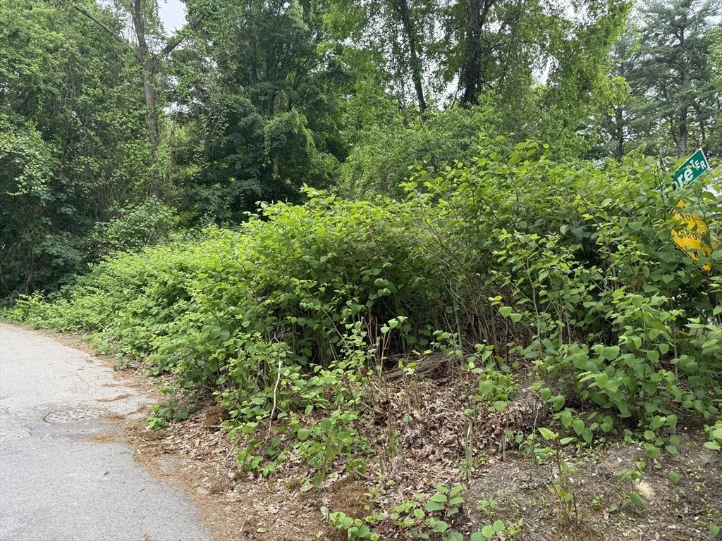 Photo of 4 Shore Rd