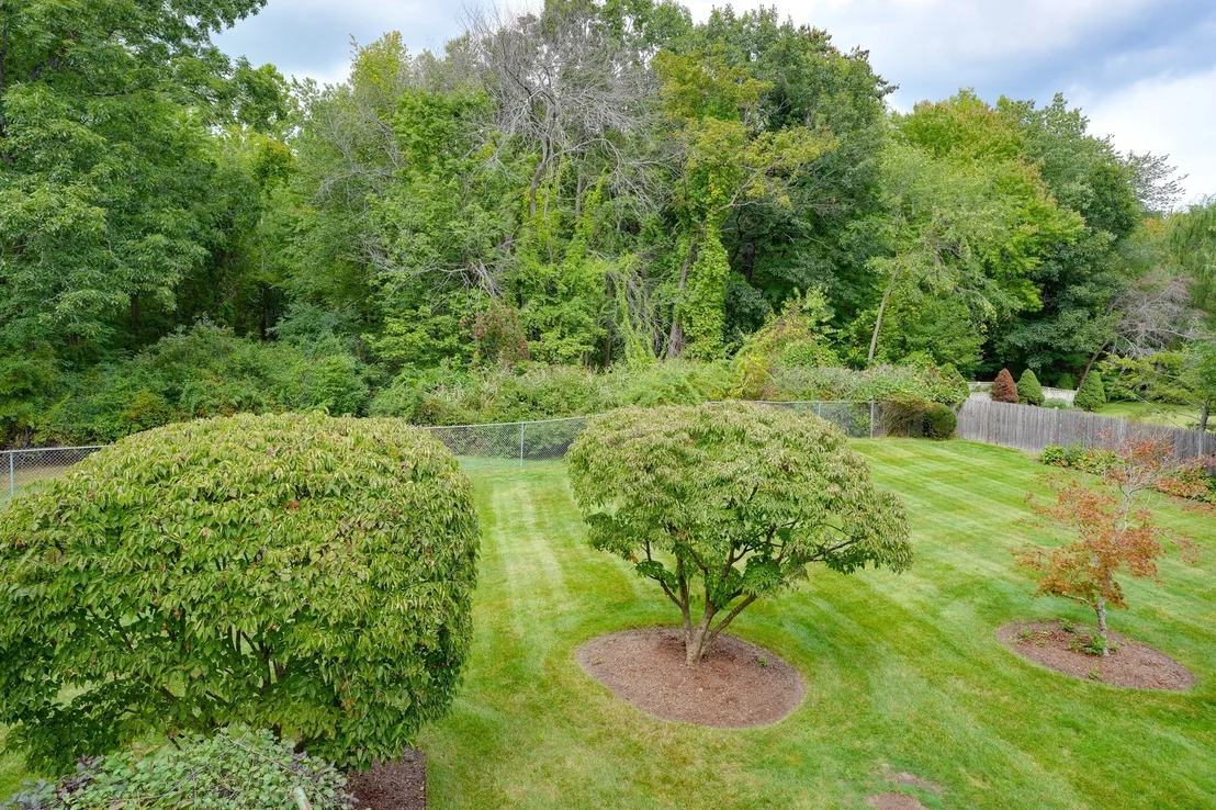 Photo of 14 Fred St