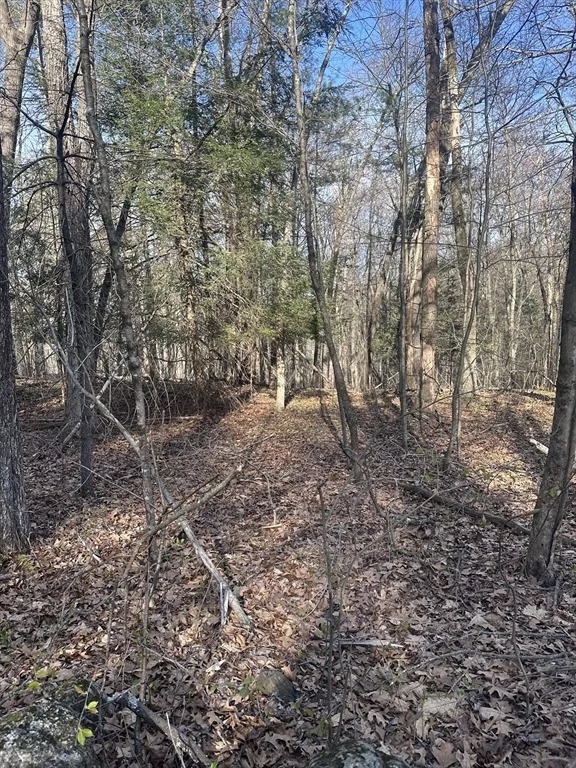 Photo of 0 Cutler Road