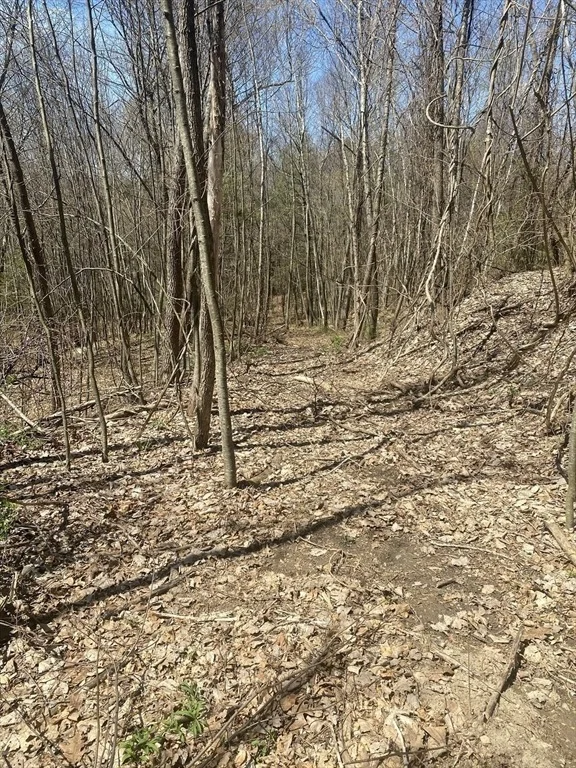 Photo of 117 Munsing Ridge