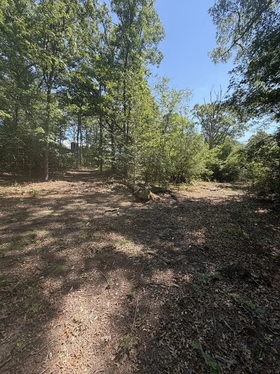 Photo of Lot 3 Thomas Cory Ln