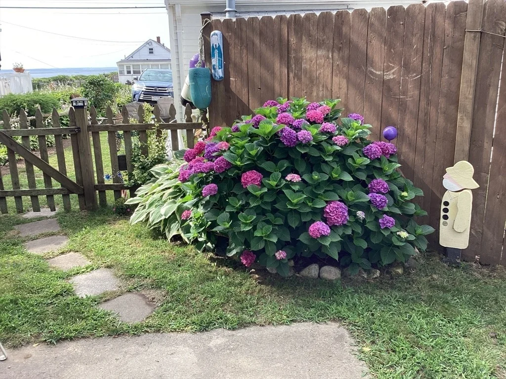 Photo of 36 Wankinquoah Ave