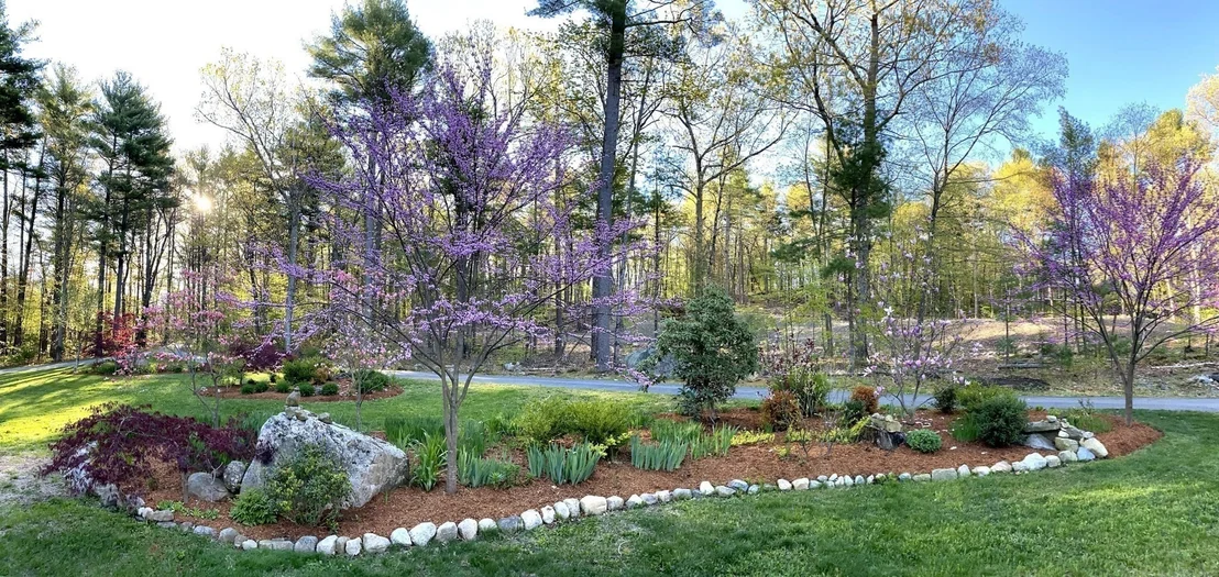 Photo of 17 Wyndcliff Drive
