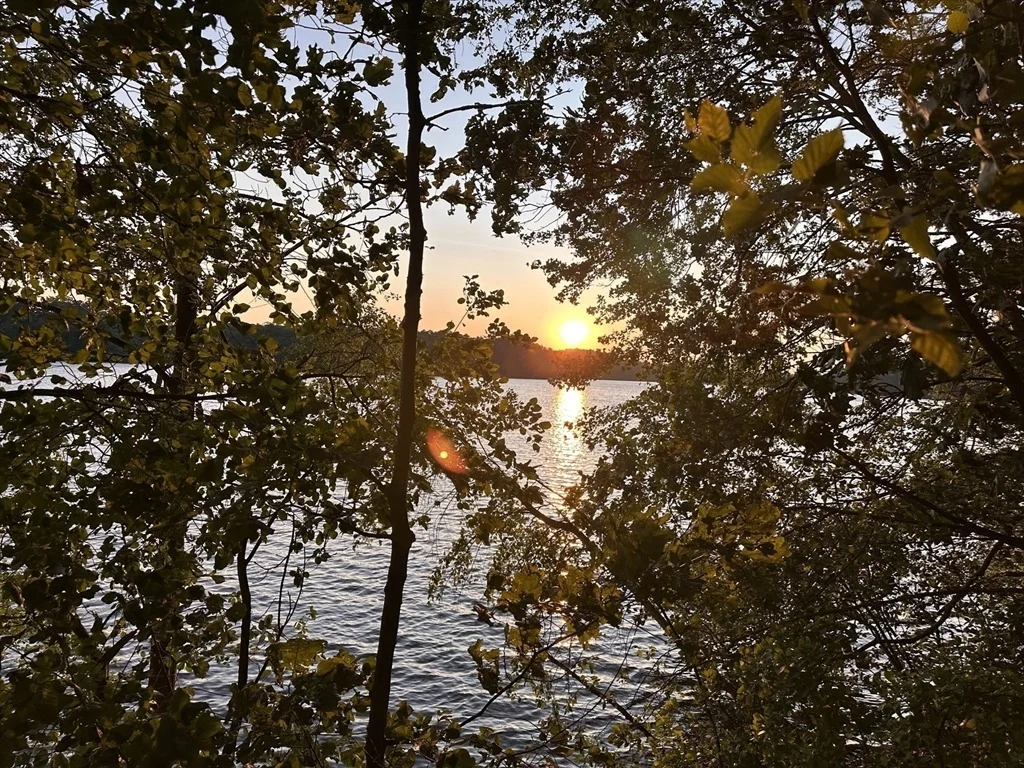 Photo of 6 Megonko Rd