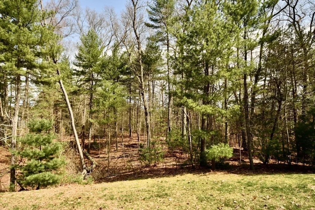 Photo of 16 Westfield Dr