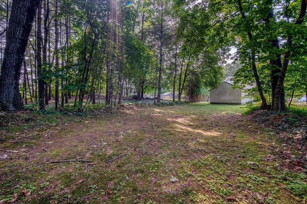 Photo of 85 Lincoln Rd