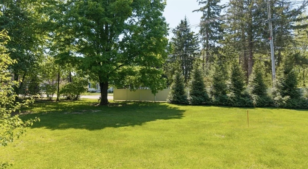Photo of 229 Spring St
