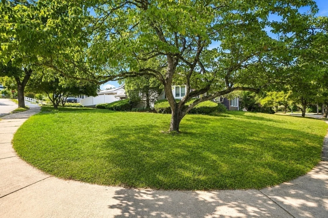 Photo of 69 Maynard St