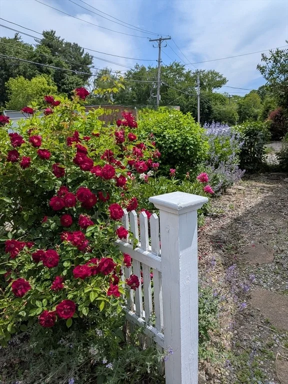 Photo of 9 Maple St