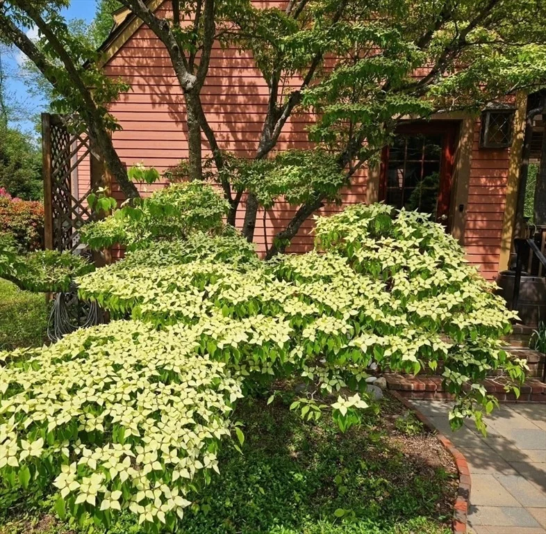 Photo of 72 Mile Ln