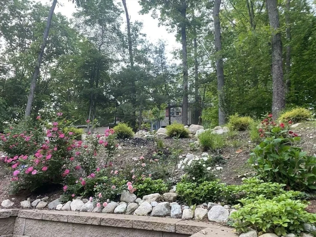Photo of 29 Dewey Rd