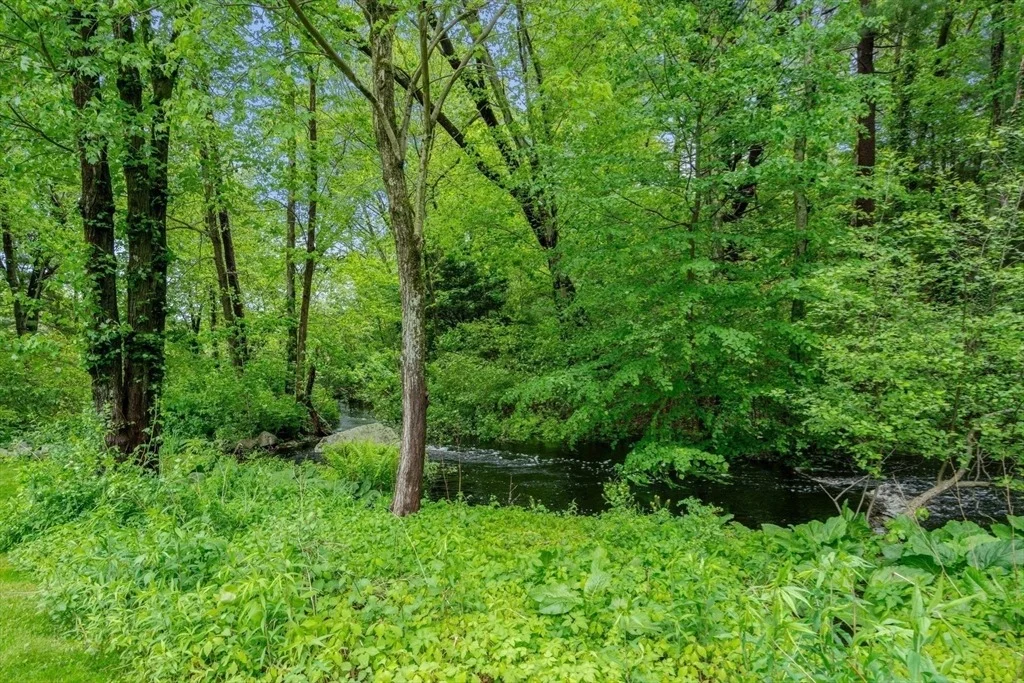 Photo of 31 Millbrook Rd