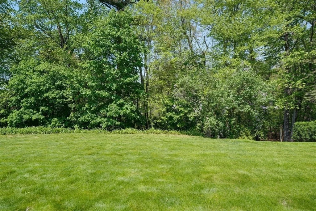 Photo of 16 Laurel