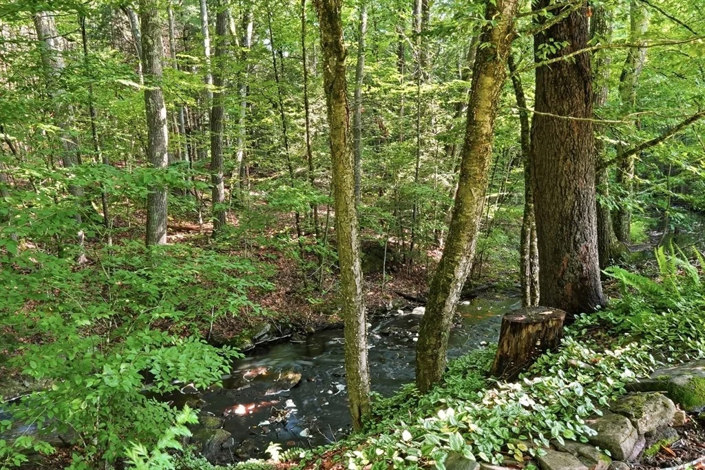Photo of 43 Birches Rd