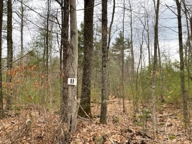 Photo of 11-L New Athol Rd