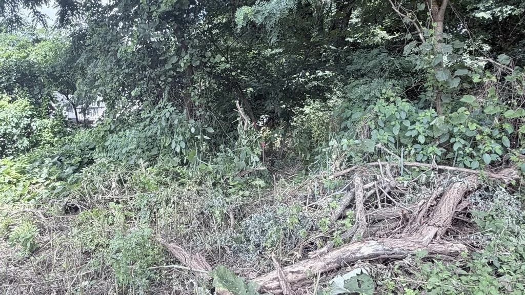 Photo of 0 Anthony Rd