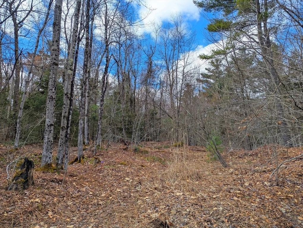 Photo of 0 Johnson Rd