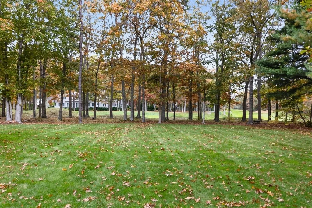 Photo of 7 Open Trail