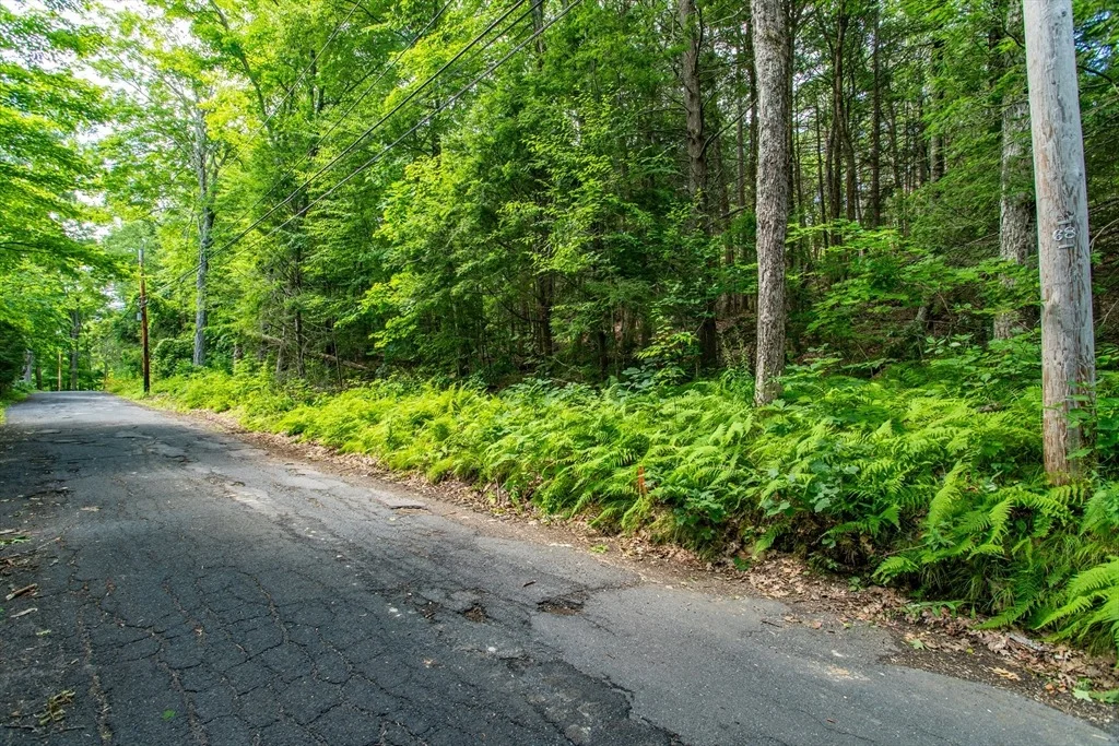 Photo of 0 Walnut Hill Rd