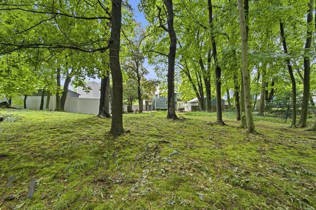 Photo of 8 Brackett Ave