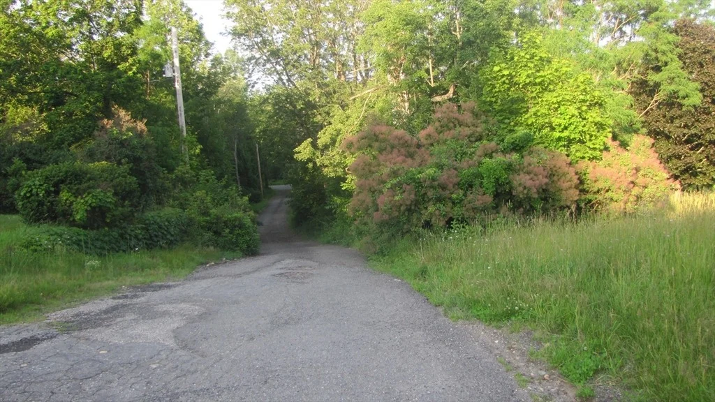 Photo of 67 Luke Rd