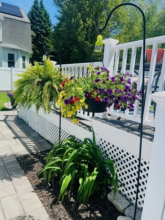 Photo of 39 Perley St