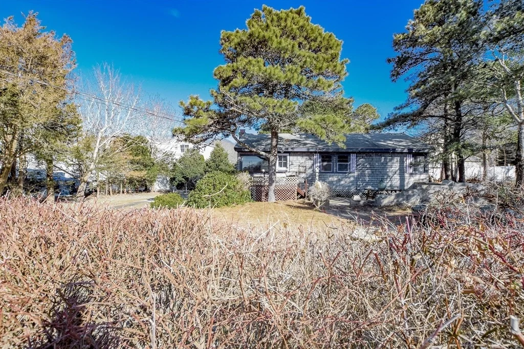 Photo of 18 Ormond Dr