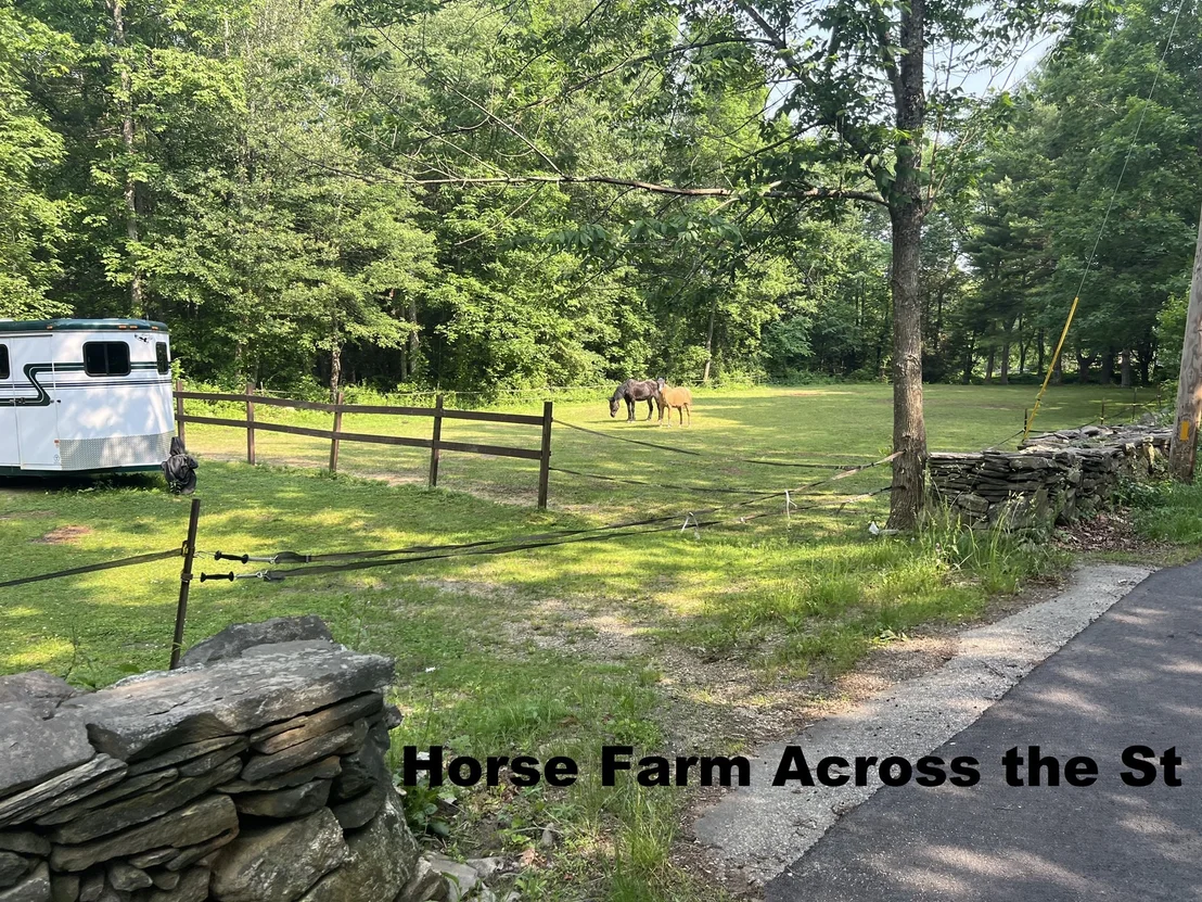 Photo of 140 Bond Rd