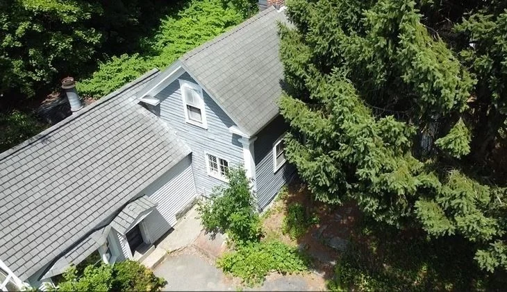 Photo of 9 Olive Street
