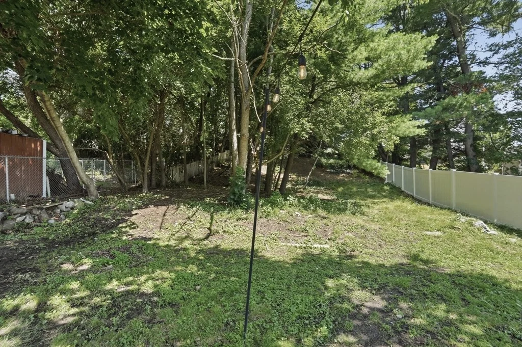 Photo of 29 Magee Street