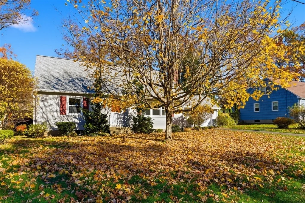 Photo of 56 Hadley St