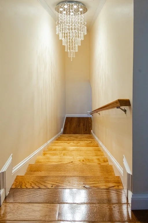 Photo of 76 River St