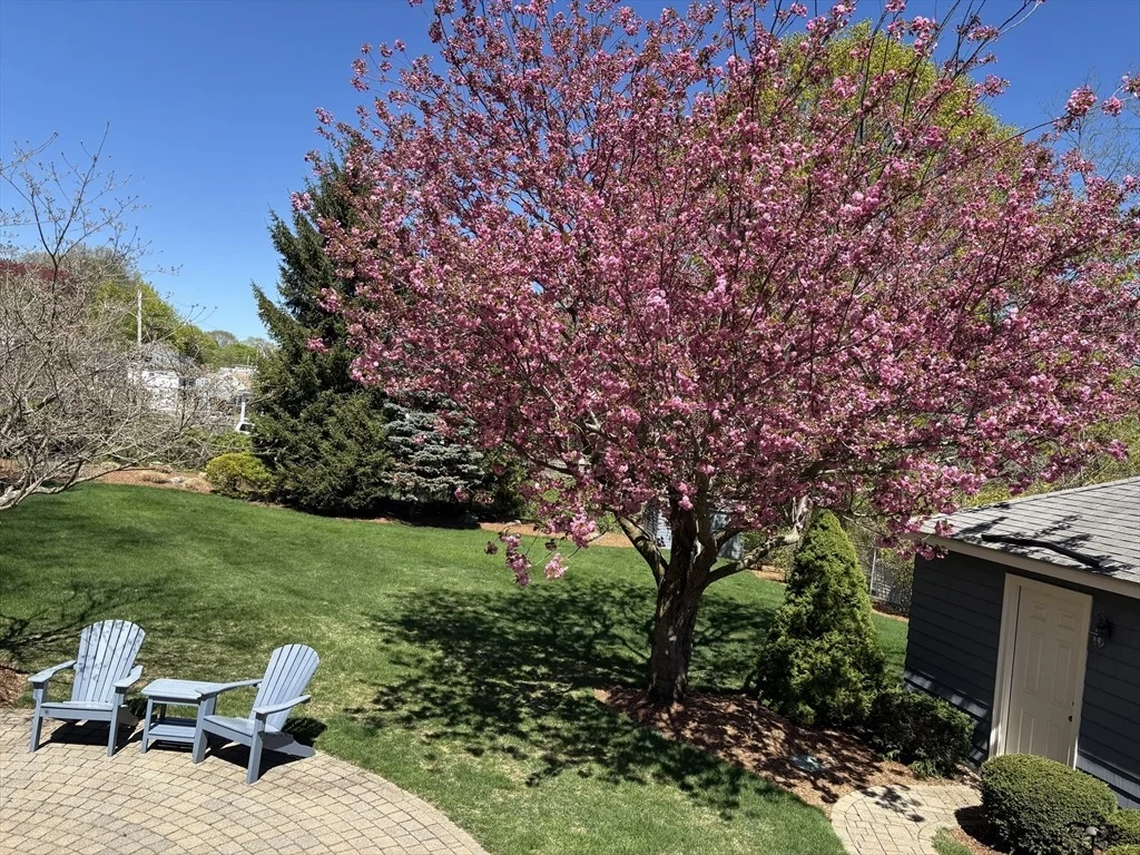 Photo of 2 Sylvester Avenue