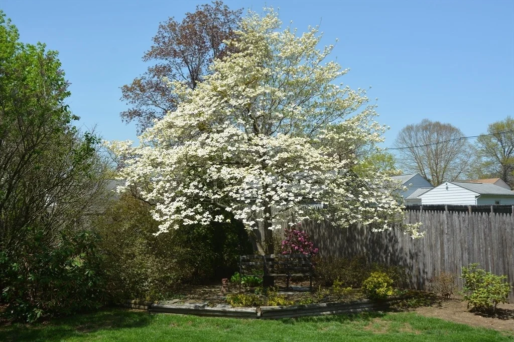 Photo of 63 Hale St