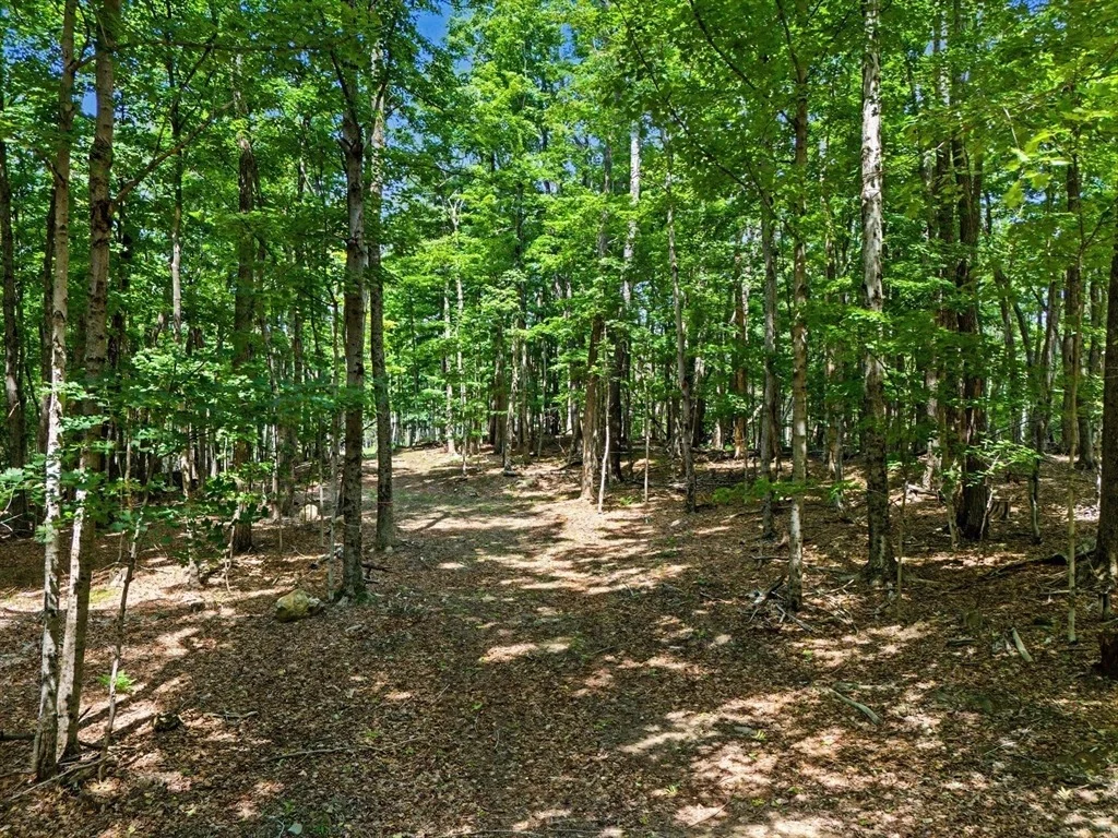 Photo of 951 West Rd