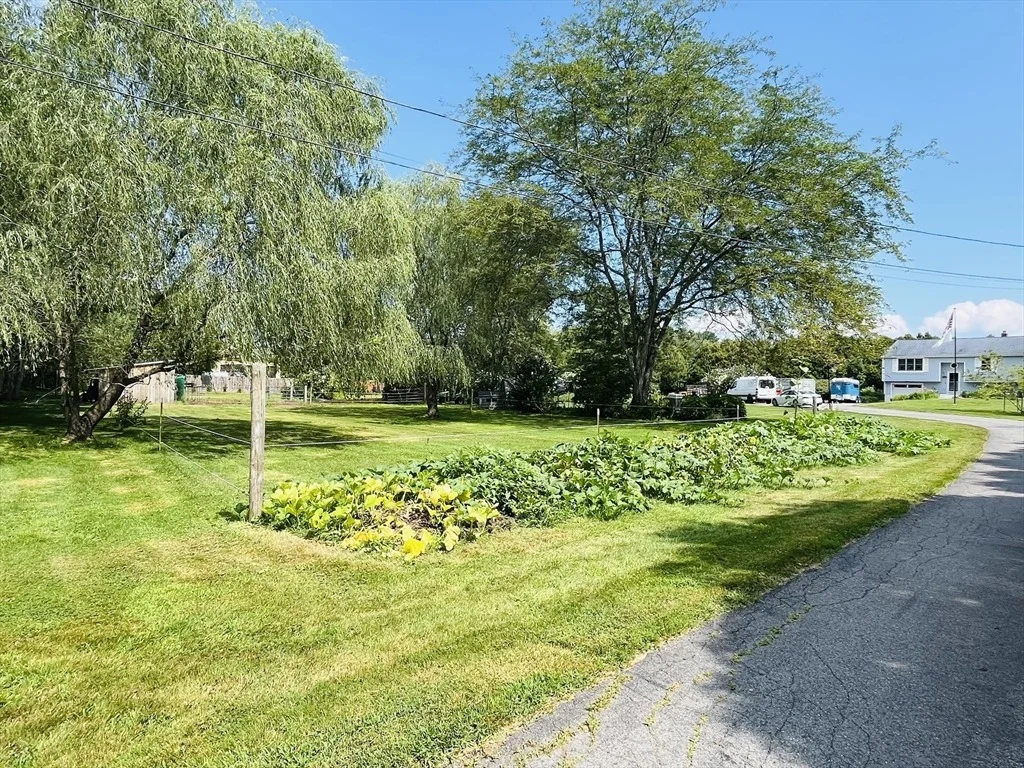 Photo of 115 Spring Street