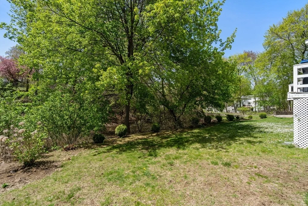 Photo of 62 Felch Rd