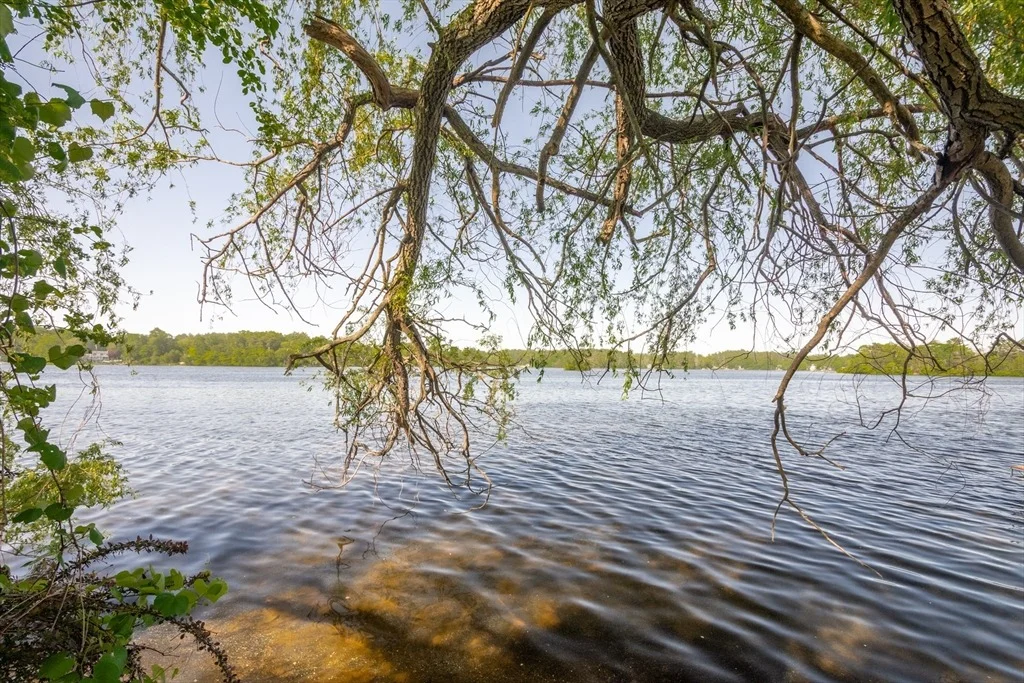 Photo of 254 Lakeside Road